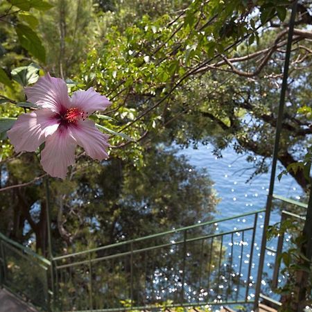 Amore Rentals - Villa Lo Scoglio Позітано Екстер'єр фото