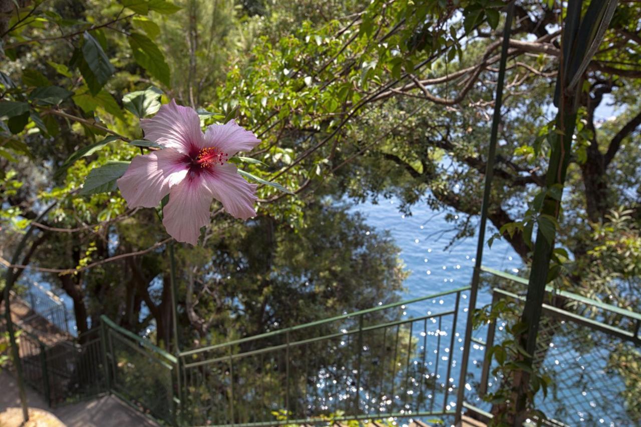 Amore Rentals - Villa Lo Scoglio Позітано Екстер'єр фото