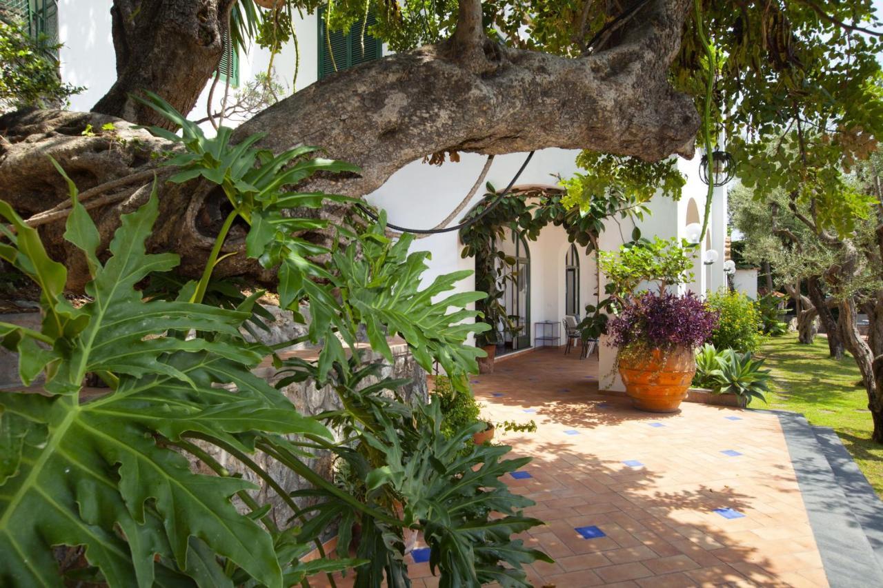 Amore Rentals - Villa Lo Scoglio Позітано Екстер'єр фото